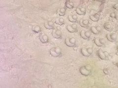 -宁波冰雪大世界(北仑区)