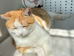 -小时光咖啡馆(北锣鼓巷店)