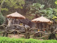 -宁波野生动物园