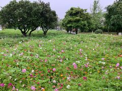 -乌石塘景区