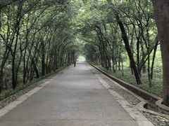 -灵谷景区