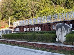 -腾冲北海湿地