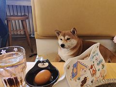 -柴の食堂·日式家庭料理·熊之肆(大学路店)
