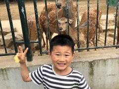 -无锡动物园·太湖欢乐园