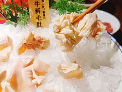 小牛鲜毛肚-九鼎轩脆毛肚火锅(三钢里店)