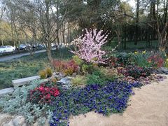 -杭州植物园