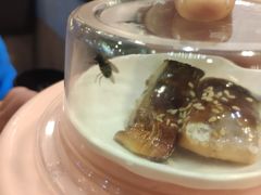 -争鲜回转寿司(金桥家乐福店)