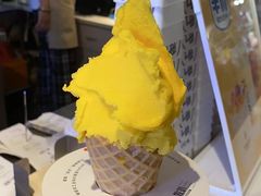 -野人牧坊Gelato(天津南开大悦城店)