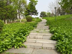 -莫子山公园