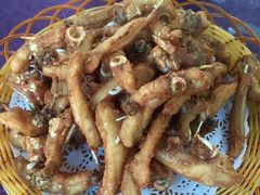 -正能量脆肉鲩火锅
