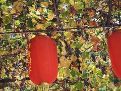 -如意农家院(胡关路店)