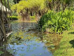 -中国科学院西双版纳热带植物园
