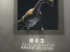 -天津自然博物馆