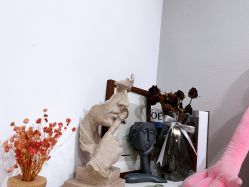 -CM.Nail美甲美睫