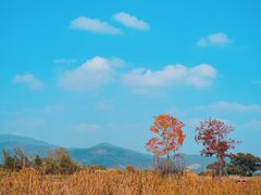 -良渚古城遗址公园
