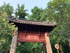 -汇龙潭