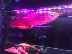 -三旗百汇商品城