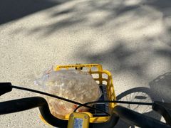 -小毛球爆米花
