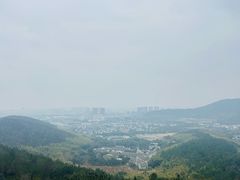 -旺山景区