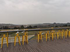 -空港花田景区