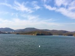 -佛手湖郊野公园