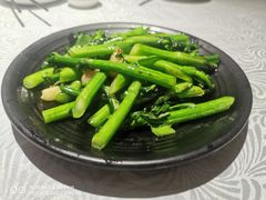 生炒连州菜心-粤·向群饭店(龙津东路总店)