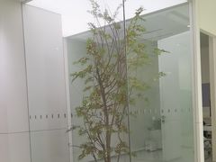 -极简口腔(总院)