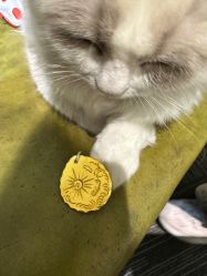 -邵老师打金·黄金加工(大望路总店)