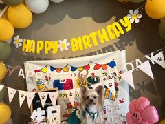 -百好乐宠物友好餐厅(朝外大街店)