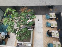 大树-大树餐厅(红旗街万达店)