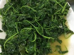 -溱湖八鲜菜馆