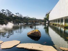 -罗红摄影艺术馆