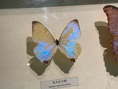 -昆明动物博物馆