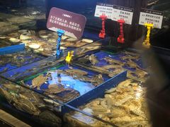-船歌·鱼水饺青岛菜(闽江二路店)