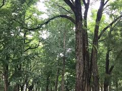 -玲珑塔公园