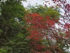 -东湖磨山景区