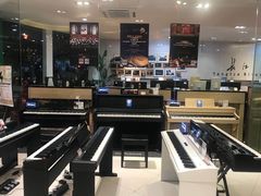 -柏斯琴行(汾阳店)