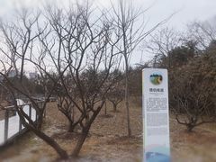 -昆山城市生态森林公园