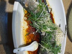 -五邑人家(江门店)