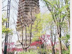 -玲珑塔公园