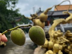 -丹东市五龙山风景区