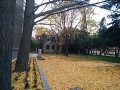 -山东大学(趵突泉校区)