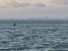 -贡湖湾湿地公园
