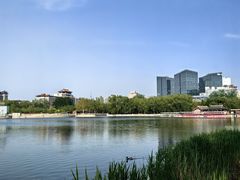 -莲花池公园