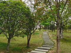-牛岗山公园