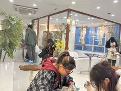 -共舞时光猫咖·狗咖(新街口店)