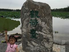-白洋淀景区
