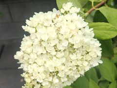 -皇城恒隆广场