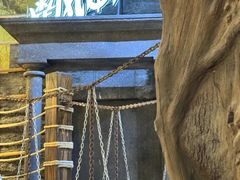 -暴风岛沉浸式体验馆(百联世纪店)
