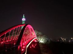 -金鸡山公园